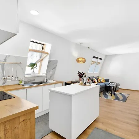 Old Town Duplex Apartment Pressburg